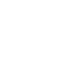 PROJECT MANAGEMENT PARTNER